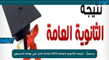 رسمياً.. نتيجة الثانوية العامة 2025 متاحة الآن على بوابة الأسبوع